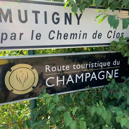 Champagne & Grand Cru Ay-Champagne